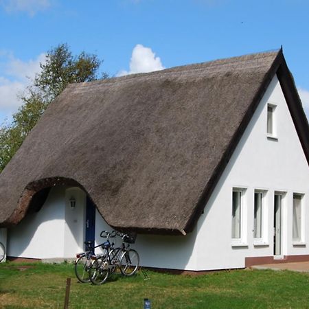 Doppelhaushaelfte In Vitte Auf Hiddensee Экстерьер фото