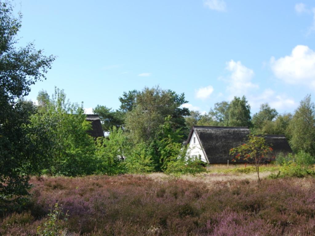 Doppelhaushaelfte In Vitte Auf Hiddensee Экстерьер фото